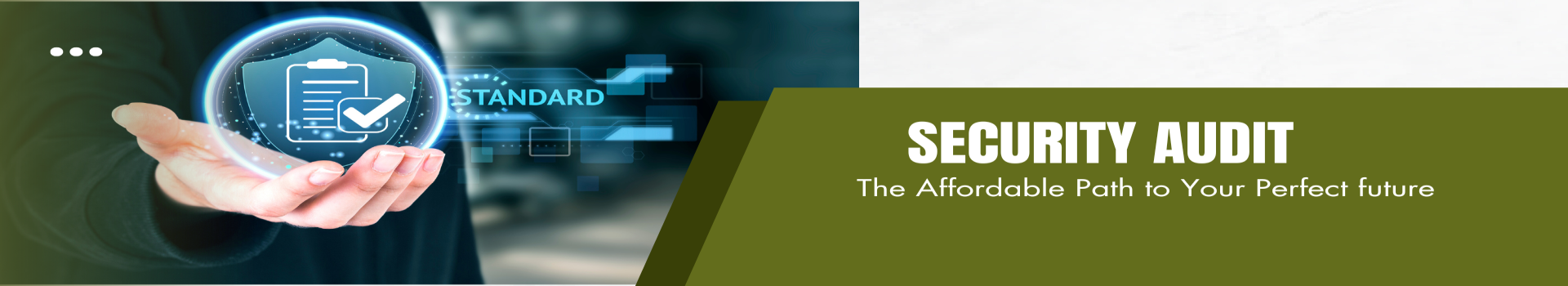Security Audit