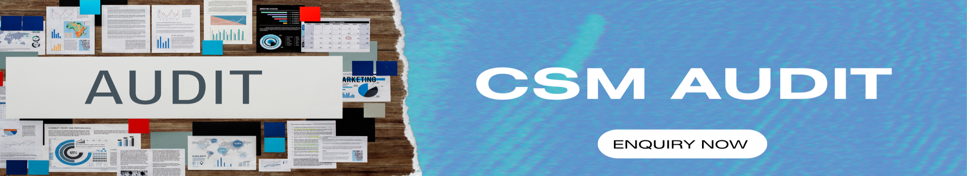 CSM Audit